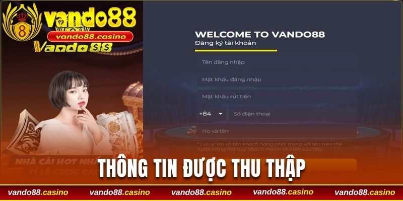 Thông tin được thu thập