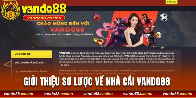 tong-quan-nha-cai-vando88